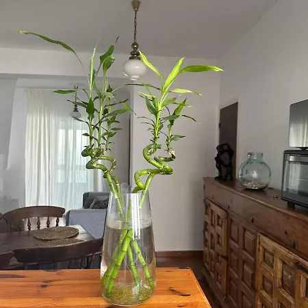 Acogedora “ Casa Ramon “ Appartement